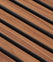Tasmanian Blackwood