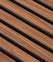 Tasmanian Blackwood